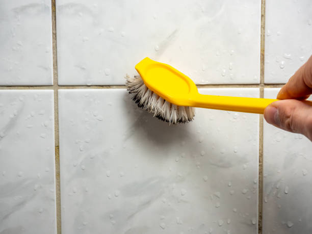 Professional Mold Remediation in Columbia Heights, MN