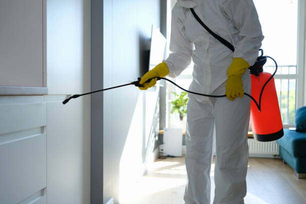 Best Mold Remediation for Schools in Columbia Heights, MN